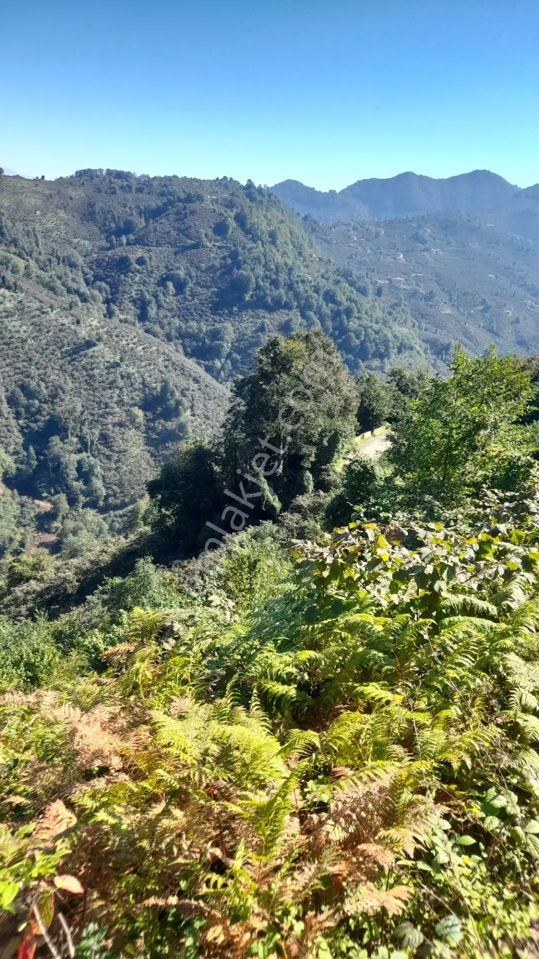 Wisremden Giresun Keşap'ta Deniz Manzaralı Bahçe — fotoğraf 19
