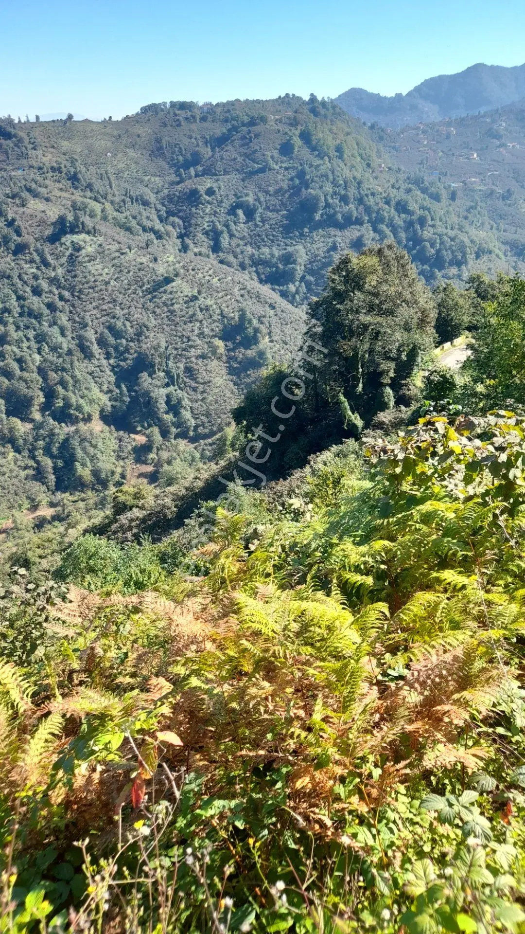 Wisremden Giresun Keşap'ta Deniz Manzaralı Bahçe — fotoğraf 21