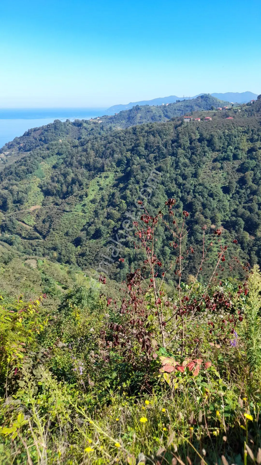Wisremden Giresun Keşap'ta Deniz Manzaralı Bahçe — fotoğraf 23