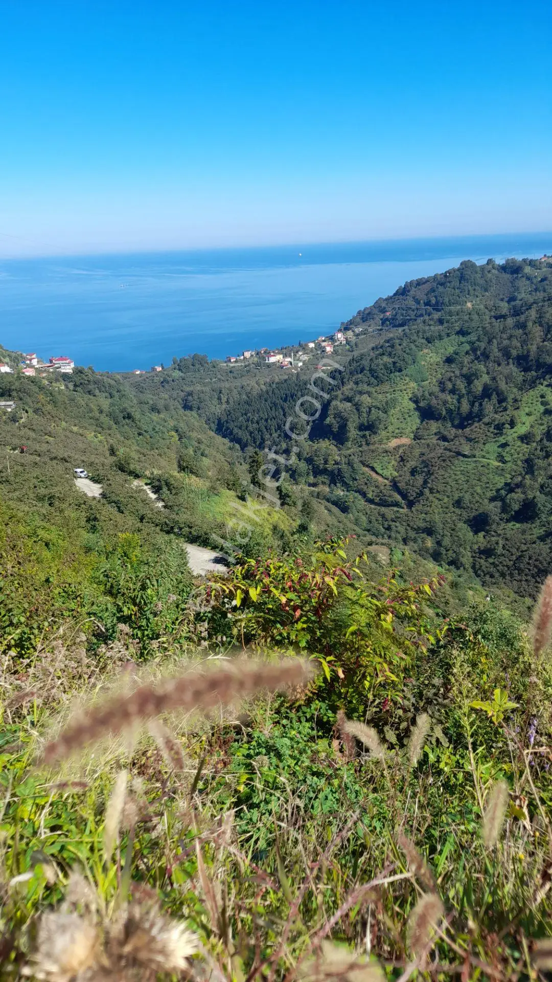Wisremden Giresun Keşap'ta Deniz Manzaralı Bahçe — fotoğraf 25