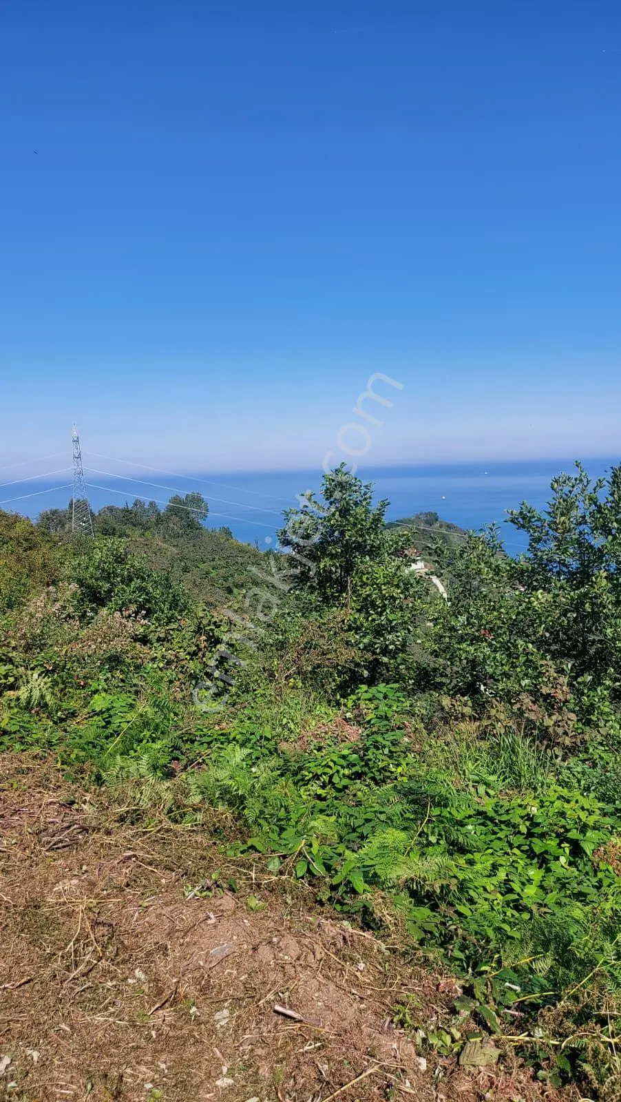 Wisremden Giresun Keşap'ta Deniz Manzaralı Bahçe — fotoğraf 32