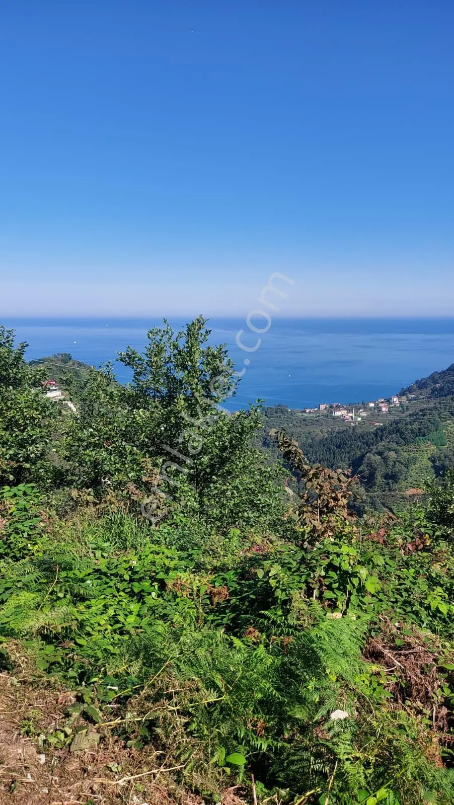 Wisremden Giresun Keşap'ta Deniz Manzaralı Bahçe — fotoğraf 33