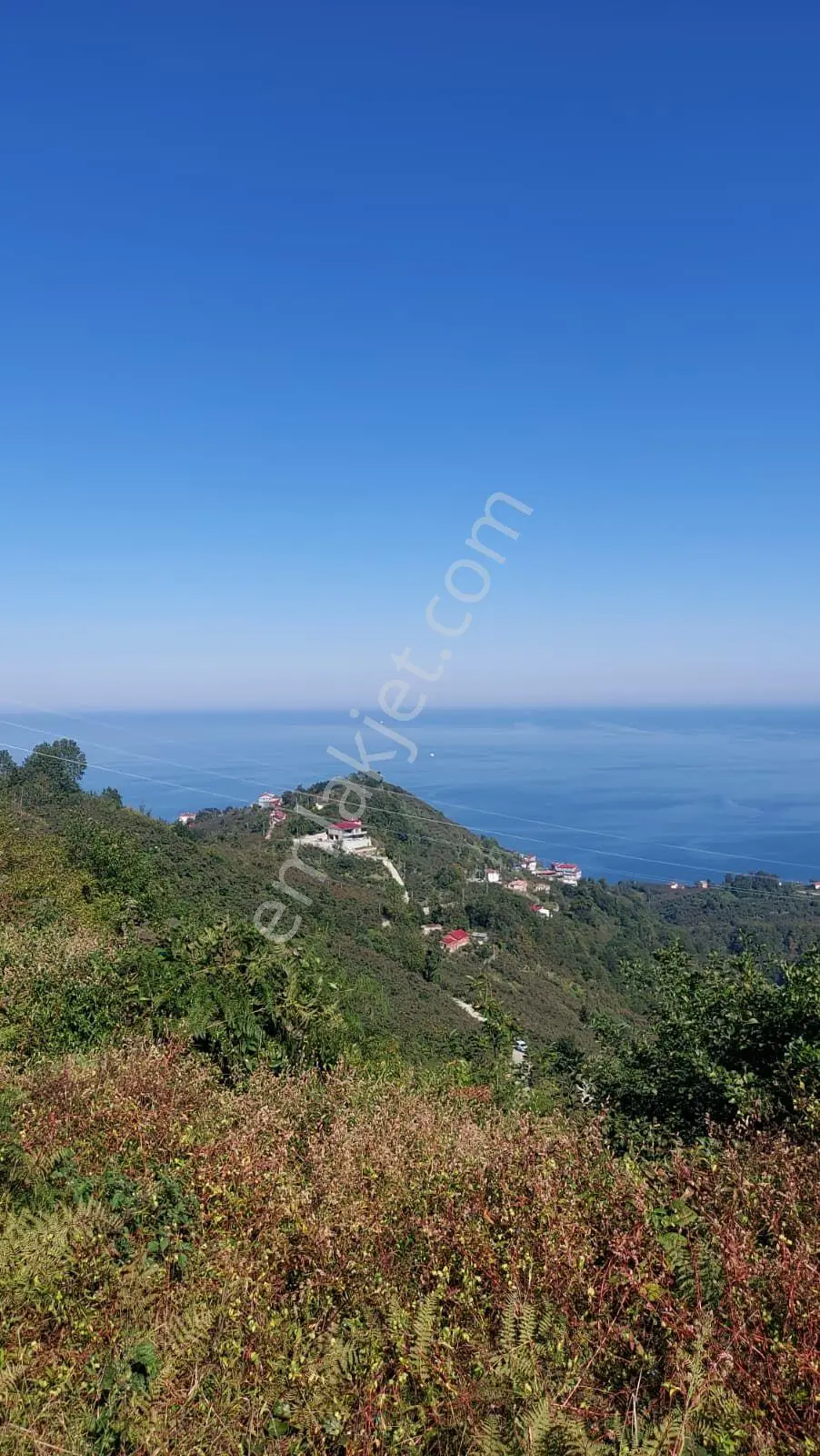 Wisremden Giresun Keşap'ta Deniz Manzaralı Bahçe — fotoğraf 36