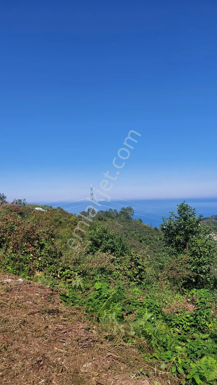 Wisremden Giresun Keşap'ta Deniz Manzaralı Bahçe — fotoğraf 38
