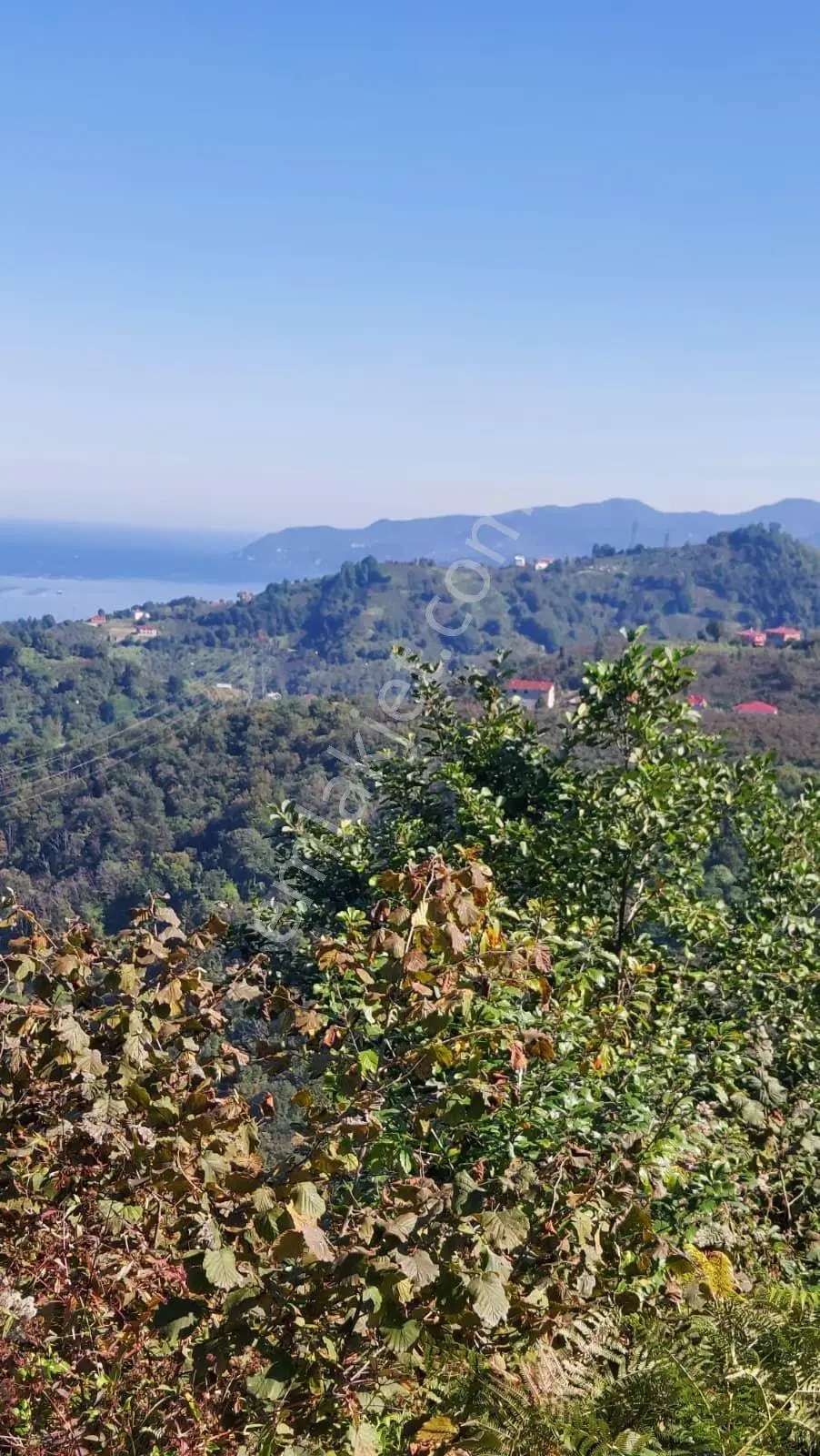 Wisremden Giresun Keşap'ta Deniz Manzaralı Bahçe — fotoğraf 42