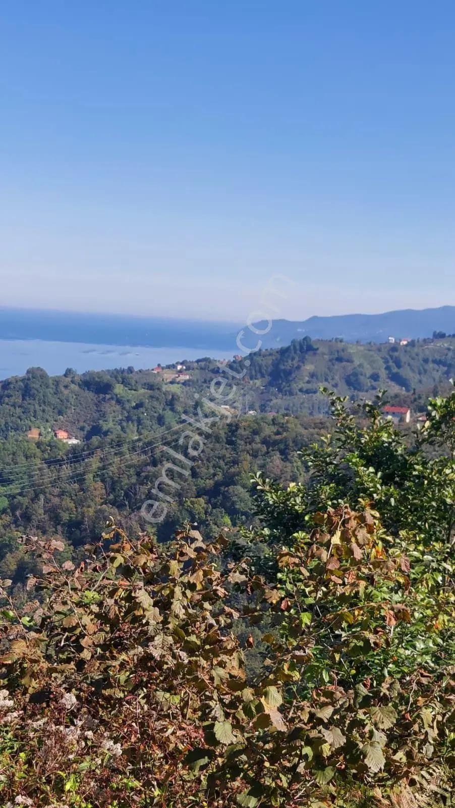 Wisremden Giresun Keşap'ta Deniz Manzaralı Bahçe — fotoğraf 43