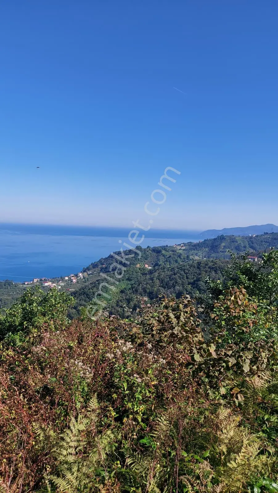 Wisremden Giresun Keşap'ta Deniz Manzaralı Bahçe — fotoğraf 45