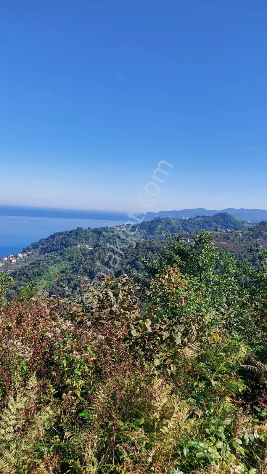 Wisremden Giresun Keşap'ta Deniz Manzaralı Bahçe — fotoğraf 49