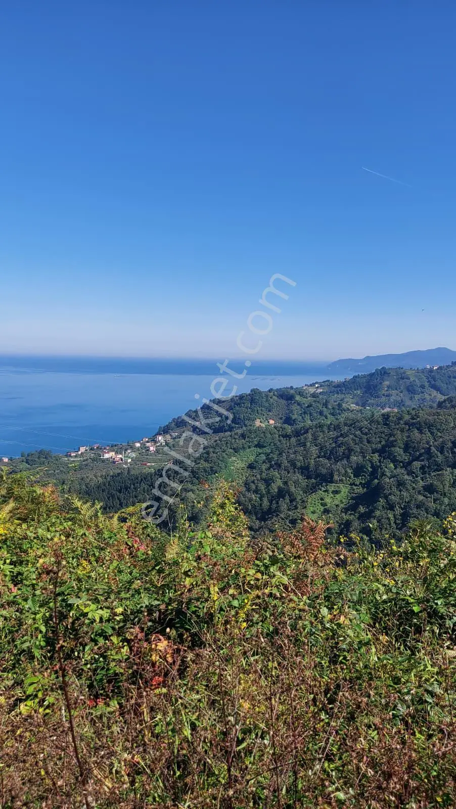 Wisremden Giresun Keşap'ta Deniz Manzaralı Bahçe — fotoğraf 50