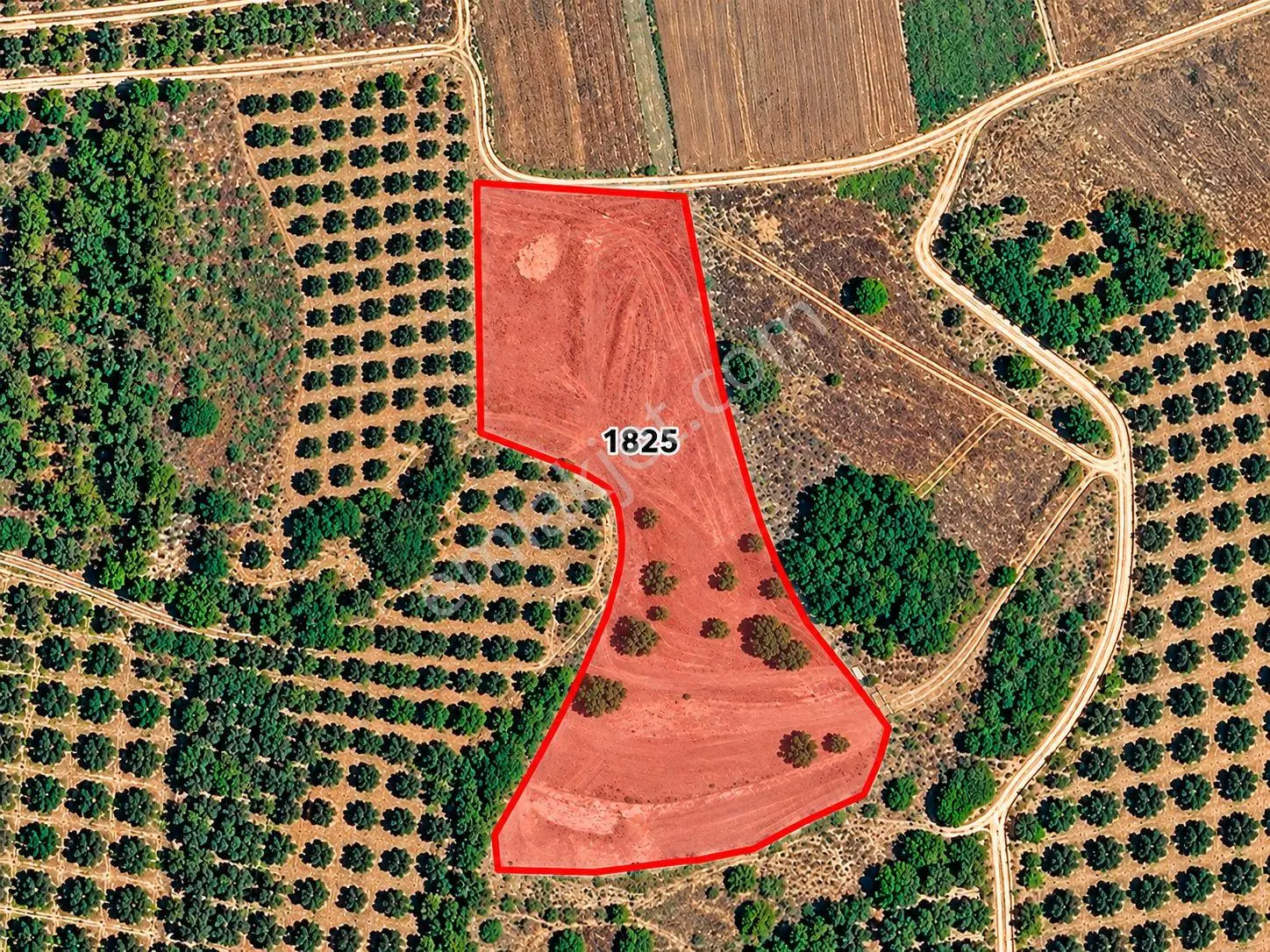 Mudanya Esence'de Eşkel Göktepe Meviiinde 315 M² Deniz-doğa Manzaralı Satılık Tarla-bahçe.. — fotoğraf 5