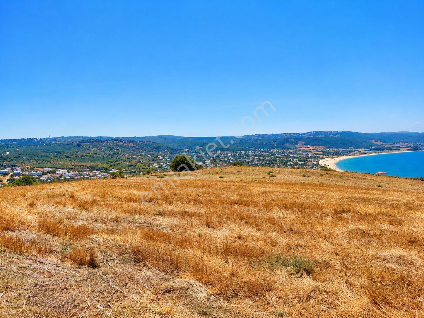 Mudanya Esence'de Eşkel Göktepe Meviiinde 315 M² Deniz-doğa Manzaralı Satılık Tarla-bahçe.. — fotoğraf 13