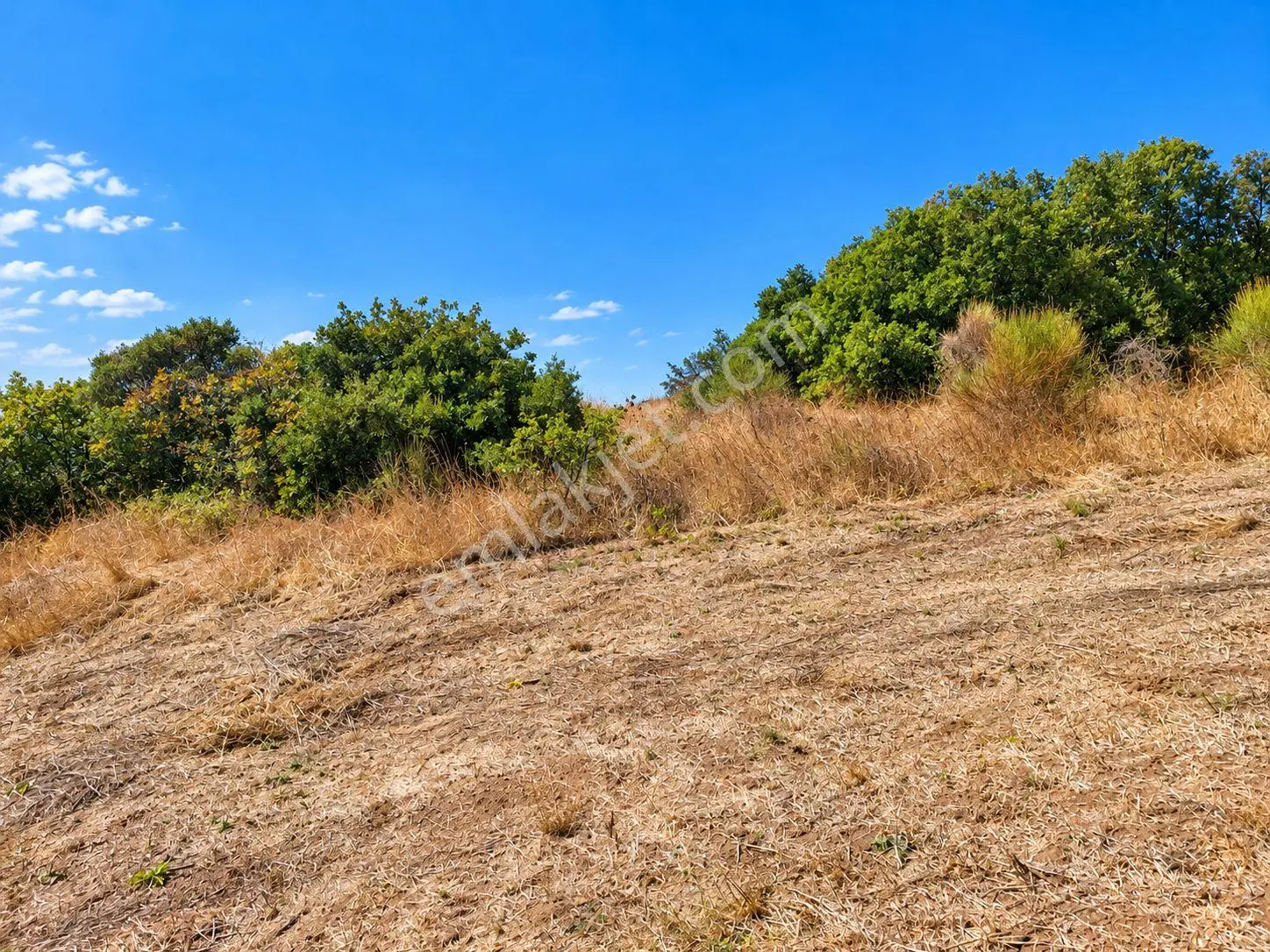Mudanya Esence'de Eşkel Göktepe Meviiinde 315 M² Deniz-doğa Manzaralı Satılık Tarla-bahçe.. — fotoğraf 24