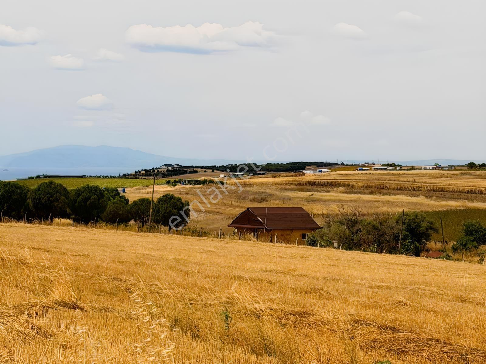 Tekirdağ Marmaraereğlisi Çeşmeli — fotoğraf 3