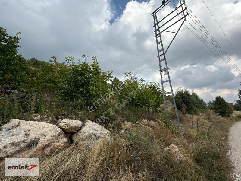 Toroslar Arslanköyde Uygun Fiyatlı 1688 M2 Satılık Şeftali Bahçe — fotoğraf 2