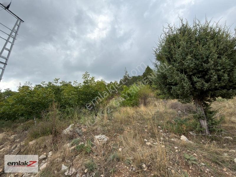 Toroslar Arslanköyde Uygun Fiyatlı 1688 M2 Satılık Şeftali Bahçe — fotoğraf 3
