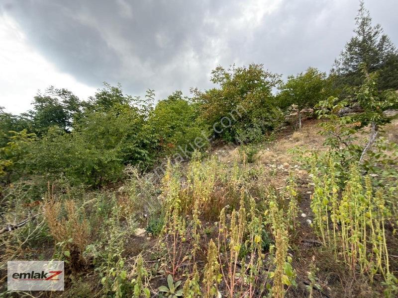 Toroslar Arslanköyde Uygun Fiyatlı 1688 M2 Satılık Şeftali Bahçe — fotoğraf 4