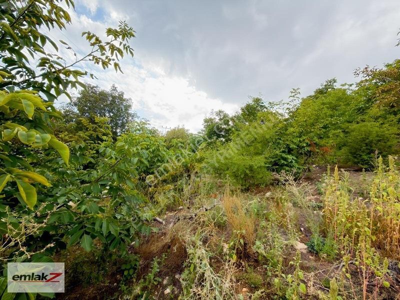 Toroslar Arslanköyde Uygun Fiyatlı 1688 M2 Satılık Şeftali Bahçe — fotoğraf 5