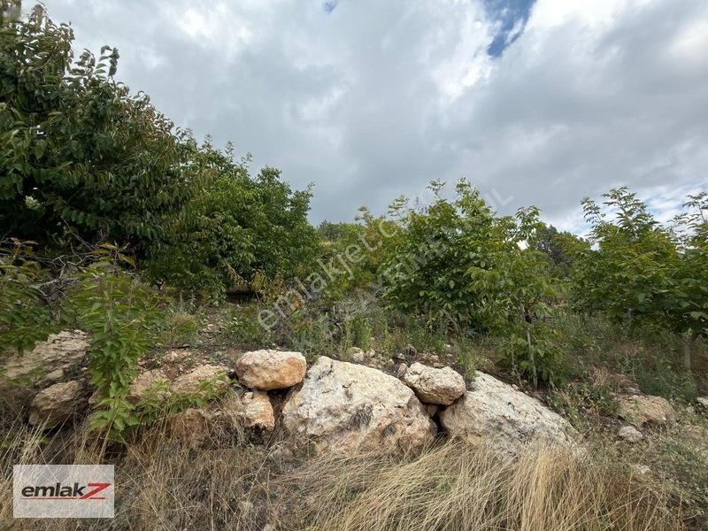 Toroslar Arslanköyde Uygun Fiyatlı 1688 M2 Satılık Şeftali Bahçe — fotoğraf 6