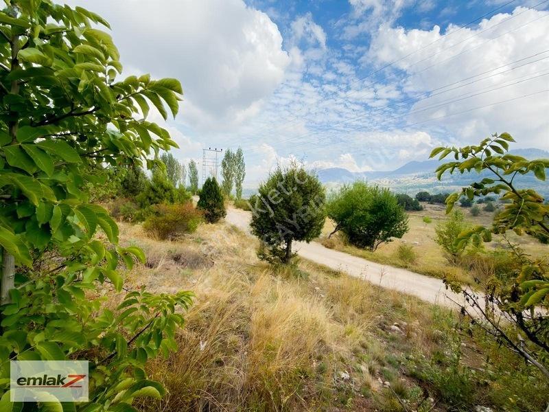 Toroslar Arslanköyde Uygun Fiyatlı 1688 M2 Satılık Şeftali Bahçe — fotoğraf 7