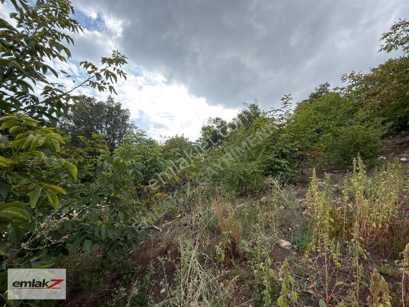 Toroslar Arslanköyde Uygun Fiyatlı 1688 M2 Satılık Şeftali Bahçe — fotoğraf 8
