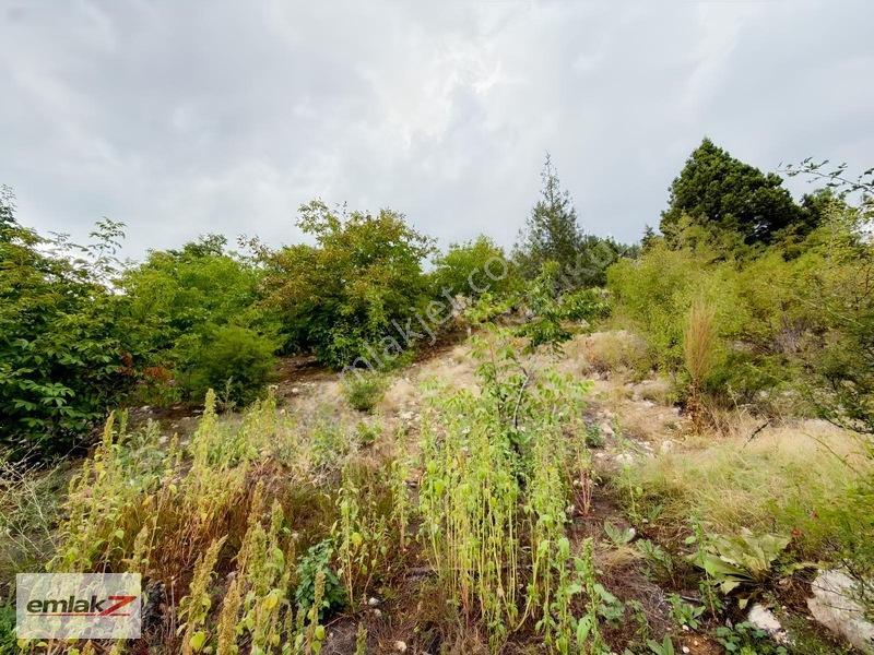 Toroslar Arslanköyde Uygun Fiyatlı 1688 M2 Satılık Şeftali Bahçe — fotoğraf 9