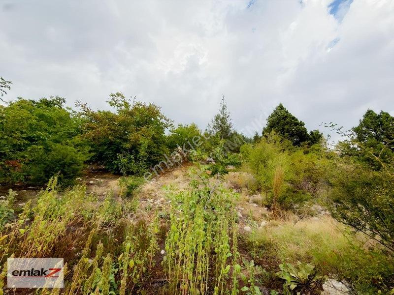 Toroslar Arslanköyde Uygun Fiyatlı 1688 M2 Satılık Şeftali Bahçe — fotoğraf 10