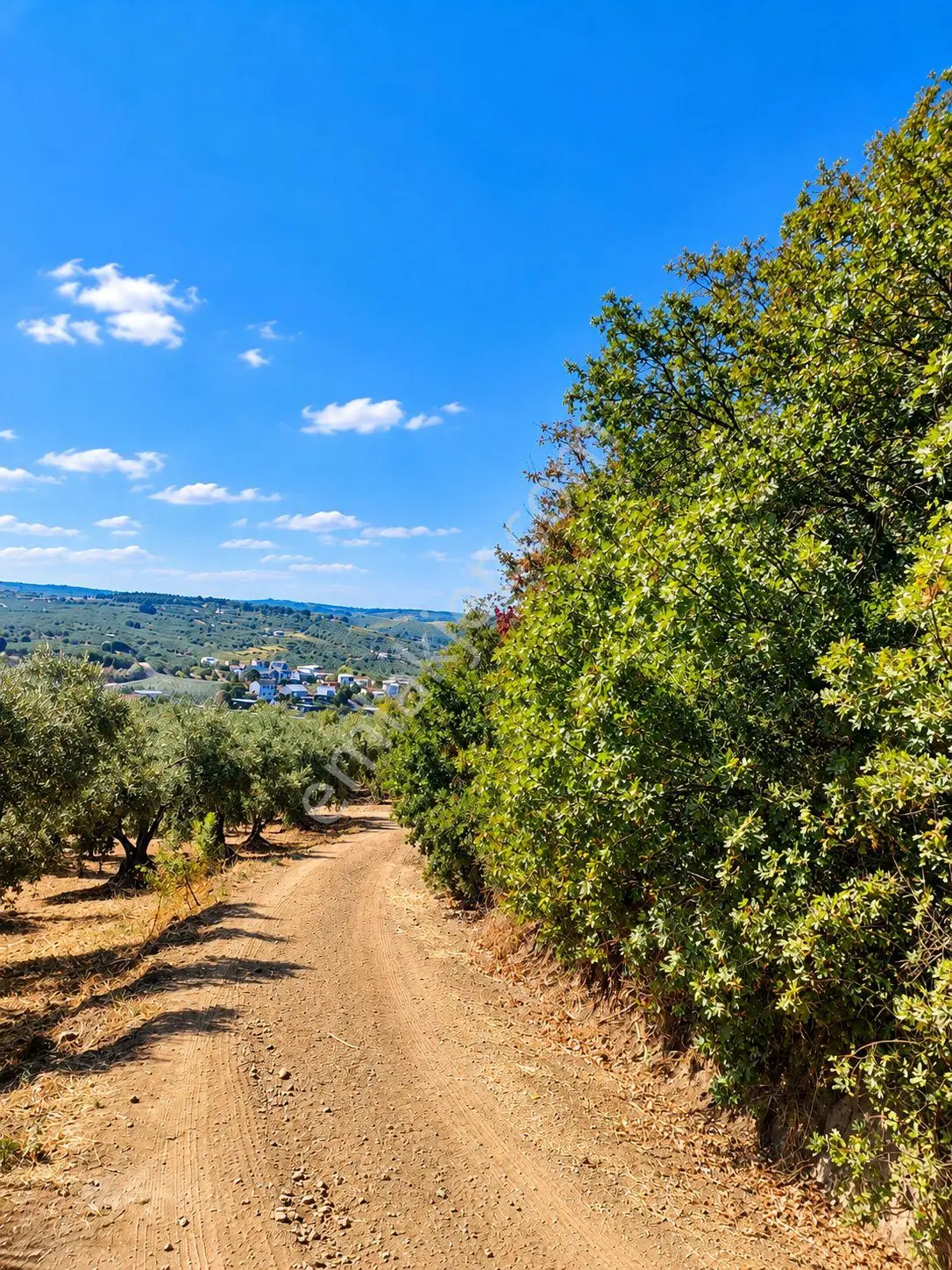 Mudanya Esence'de Eşkel Göktepe Meviiinde 315 M² Deniz-doğa Manzaralı Satılık Tarla-bahçe — fotoğraf 30