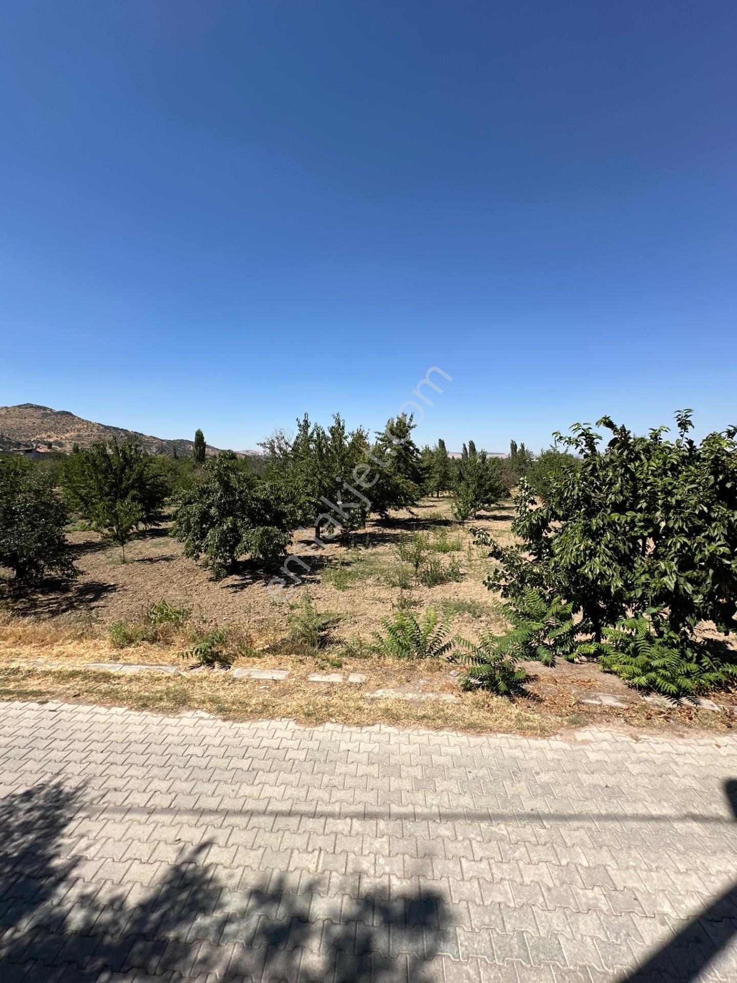 Çakırköy’de 1631 M2 Satılık Bahçe — fotoğraf 3