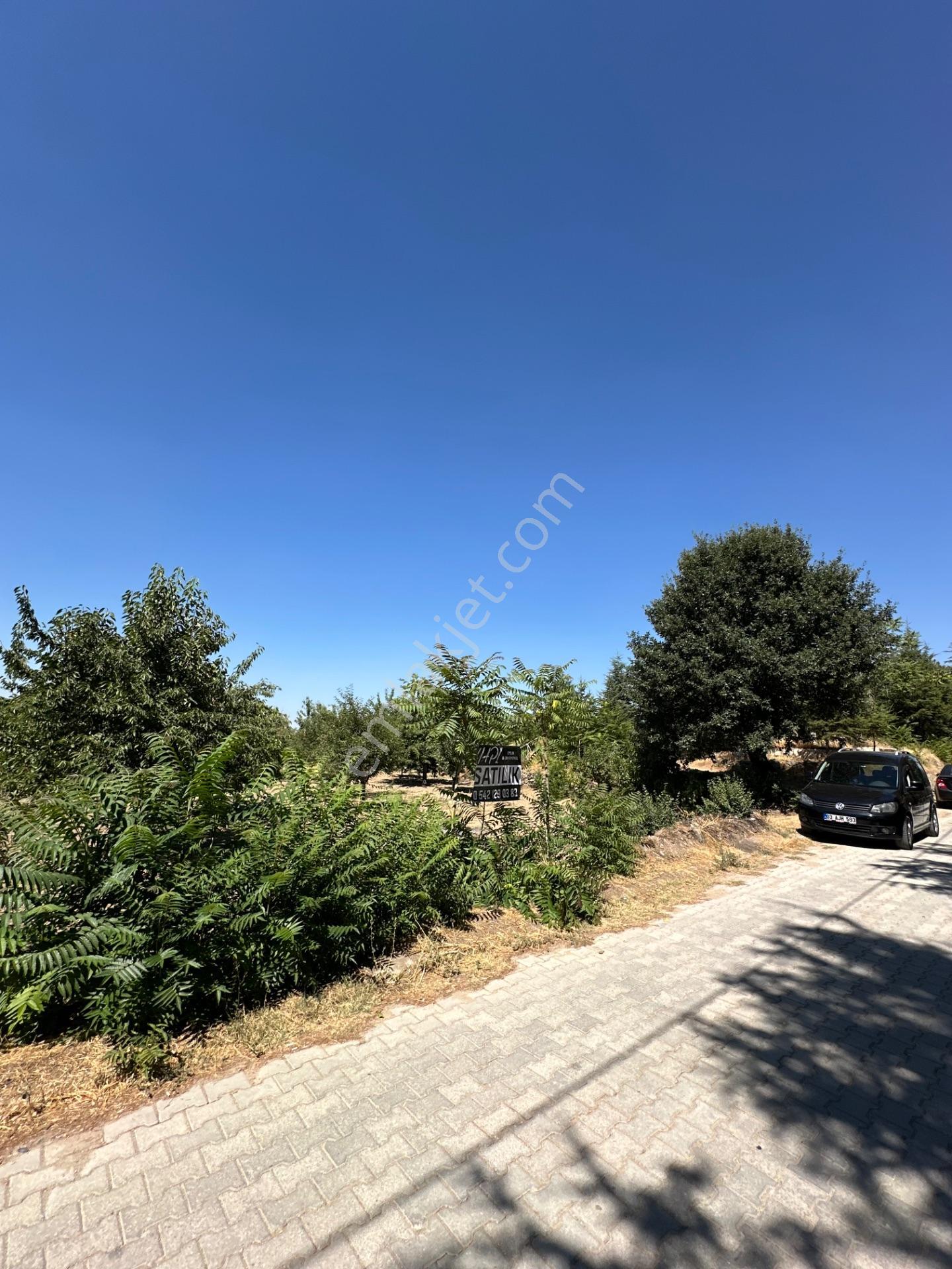 Çakırköy’de 1631 M2 Satılık Bahçe — fotoğraf 4