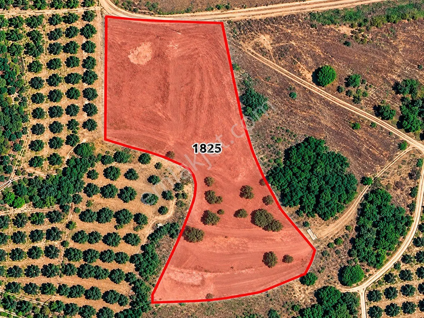 Mudanya Esence'de Eşkel Göktepe Meviiinde 307 M² Deniz-doğa Manzaralı Satılık Tarla-bahçe.. — fotoğraf 4