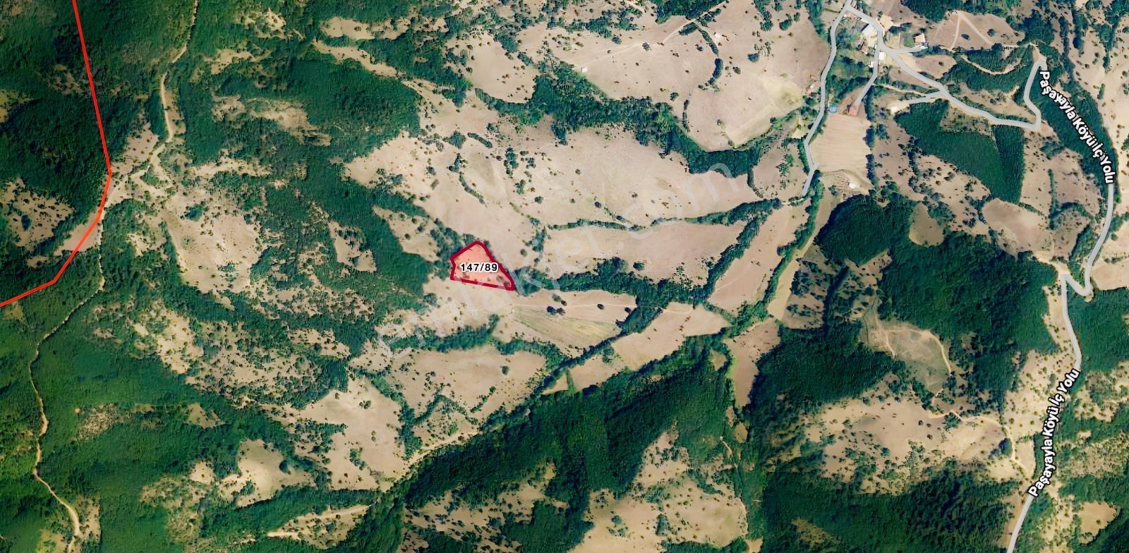 Bursa Yenişehir Paşayaylada 5.518 M² Müstakil Tapulu Tarla — fotoğraf 3