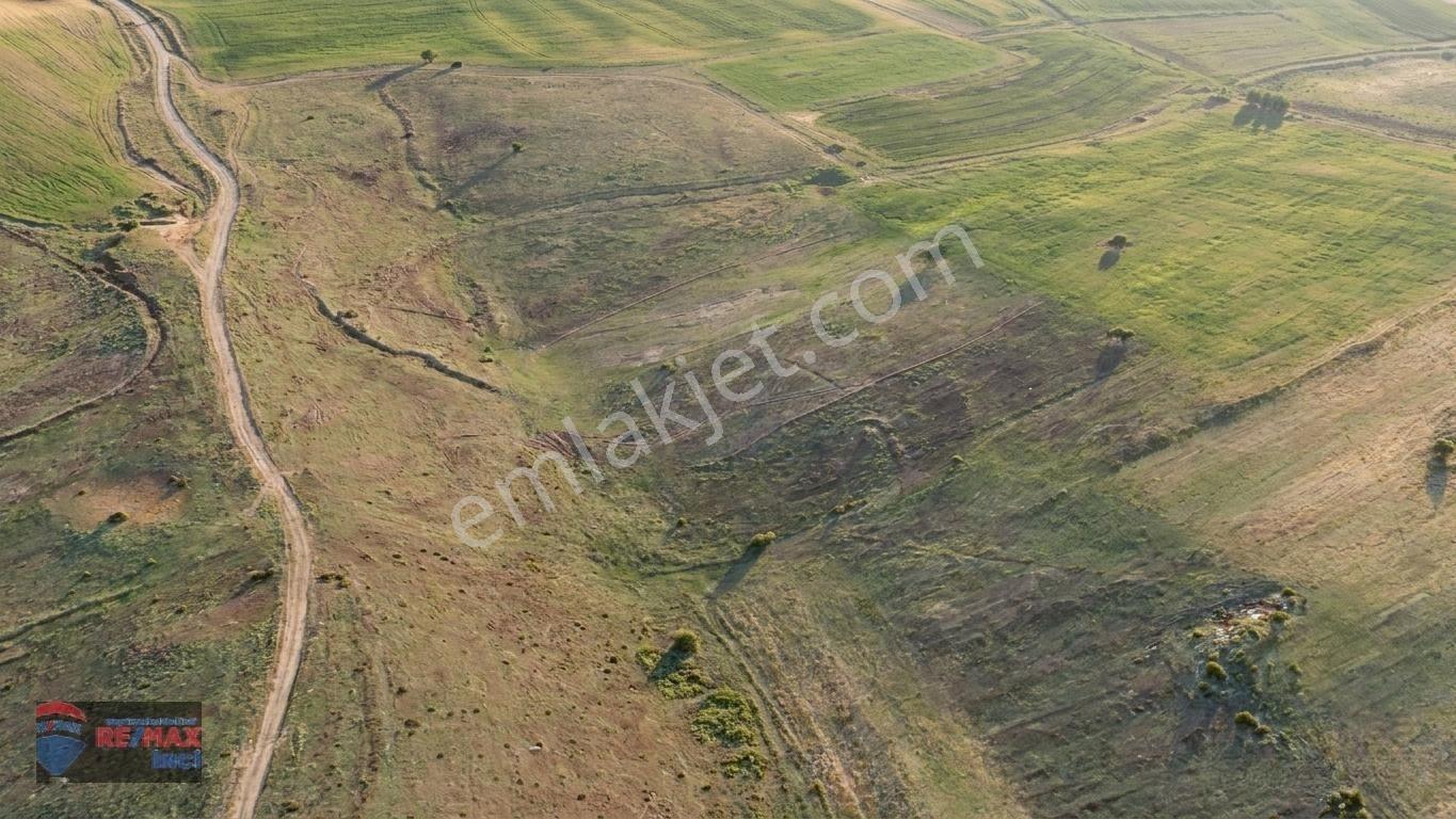 Re/max İnci'den Balıkesir Karesi Köteyli’de Satılık Tarla — fotoğraf 32