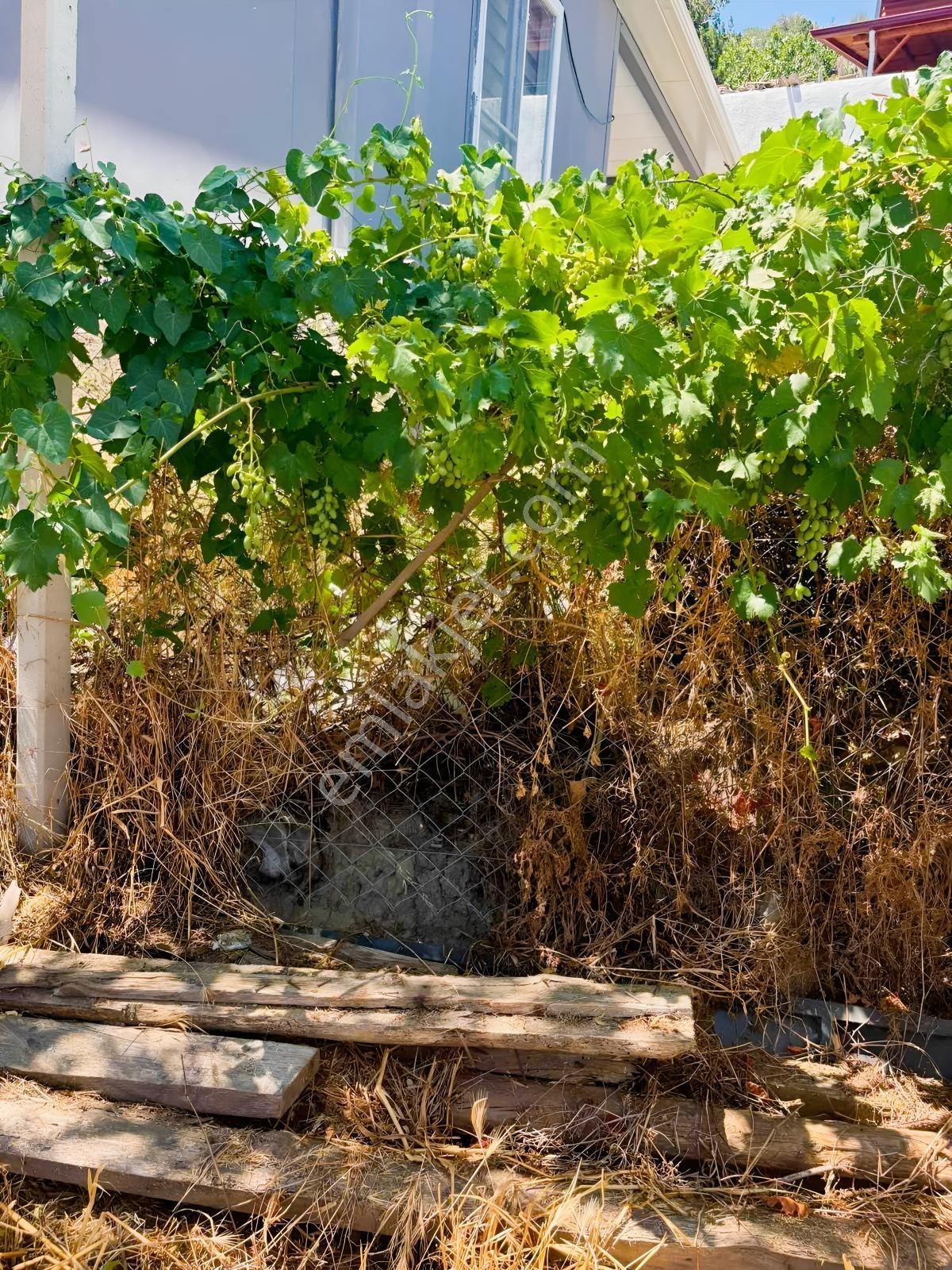 Havran Sarnıçta %100 İmarlı Kaçırılmayacak Mücevher Arsa! — fotoğraf 5