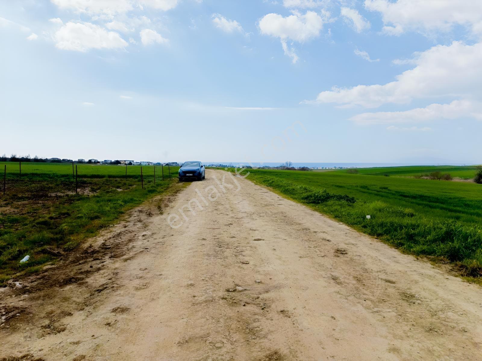 Yeniçiftlik Sınırında Çeşmeli Mah. Full Deniz Manzaralı Tarla — fotoğraf 4