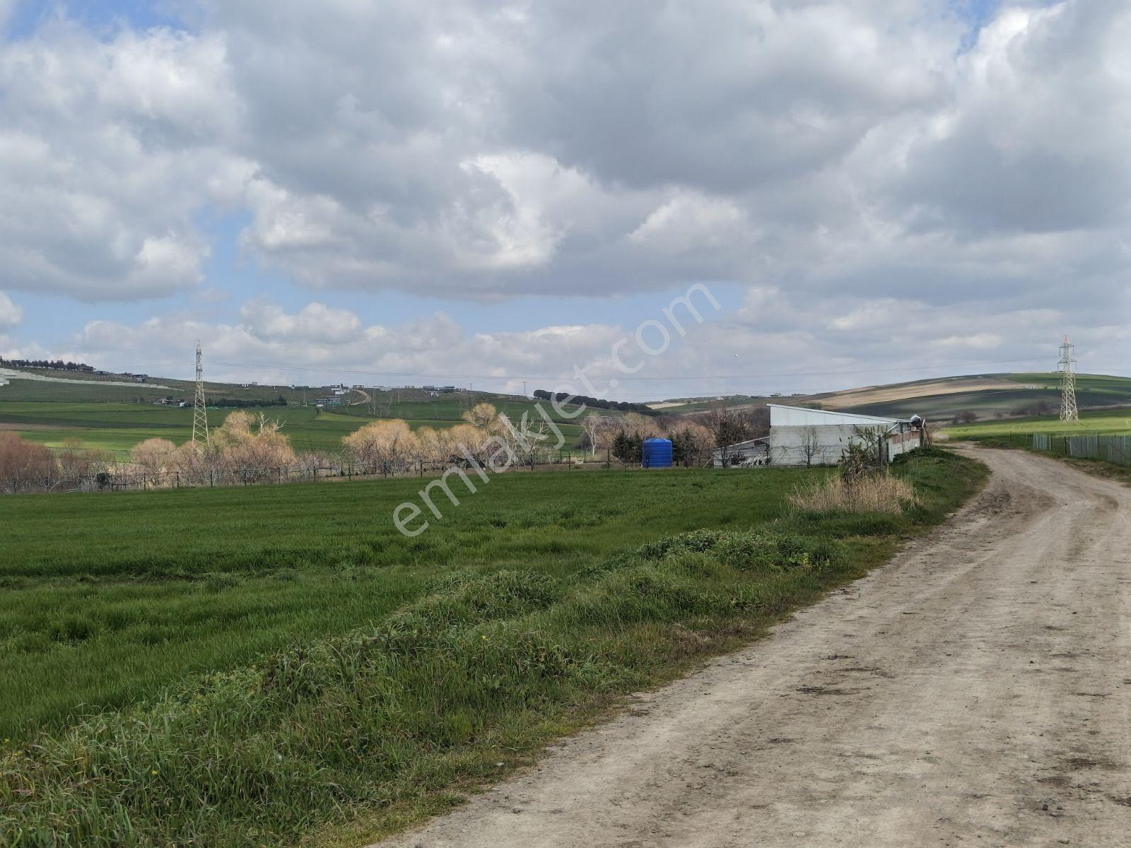 Yeniçiftlik Sınırında Çeşmeli Mah. Full Deniz Manzaralı Tarla — fotoğraf 6