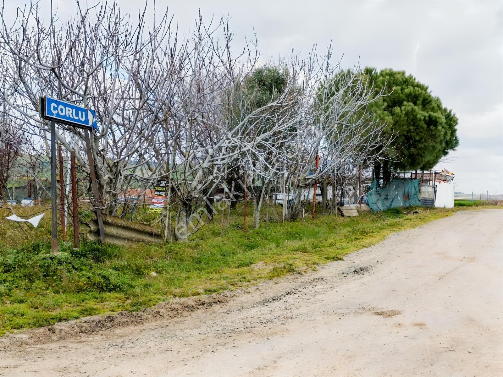 Yeniçiftlik Sınırında Çeşmeli Mah. Full Deniz Manzaralı Tarla — fotoğraf 13