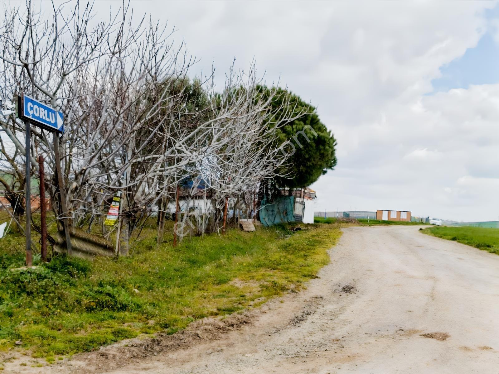 Yeniçiftlik Sınırında Çeşmeli Mah. Full Deniz Manzaralı Tarla — fotoğraf 14