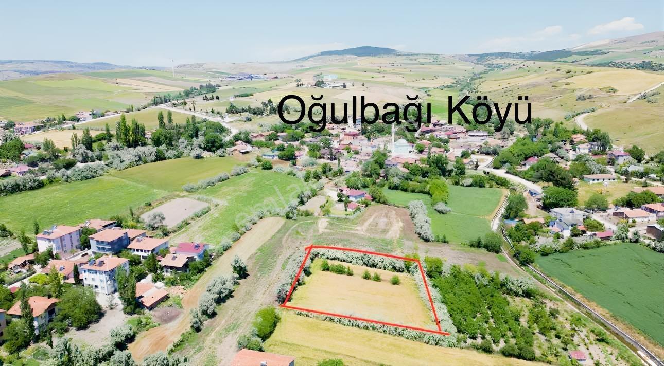 Şehir Merkezine 1 Km Mesafede Hobi Bahçesi — fotoğraf 2