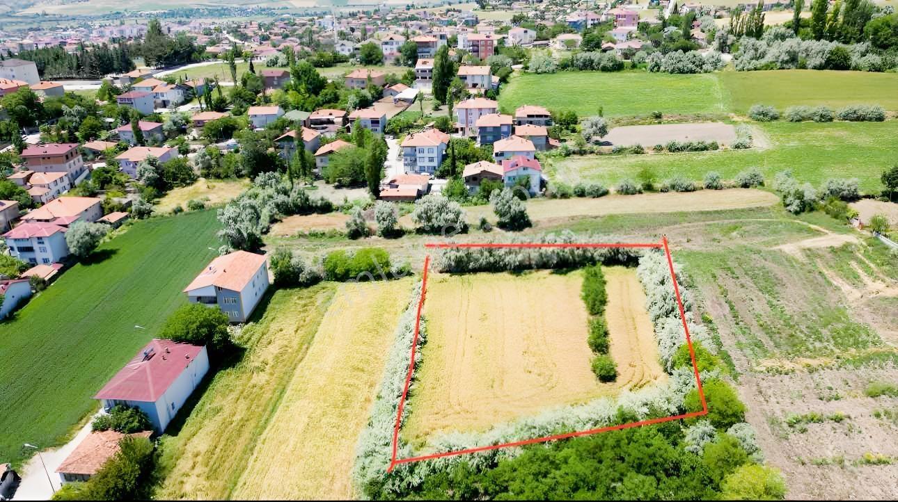 Şehir Merkezine 1 Km Mesafede Hobi Bahçesi — fotoğraf 5