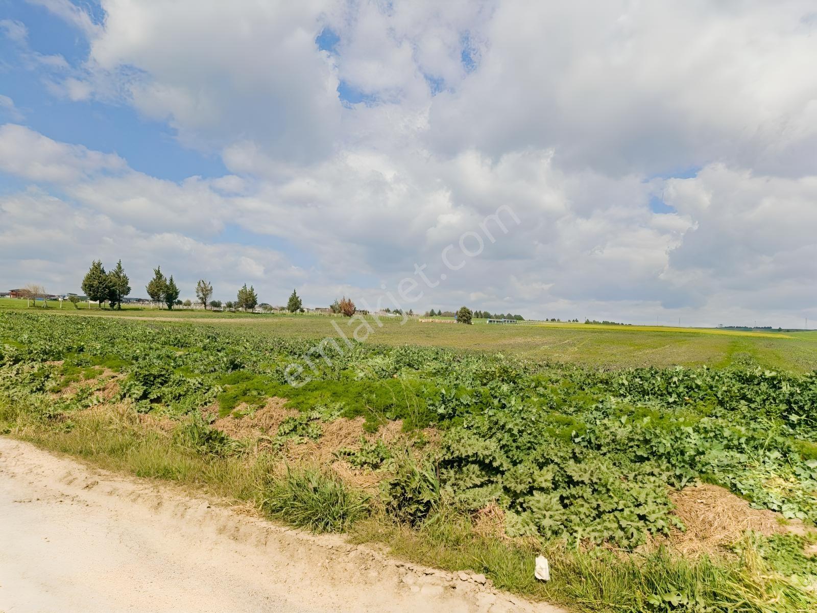 Yeniçiftlik Yakını Çeşmeli Mah. 278 M2 Hisseli Tarla — fotoğraf 2