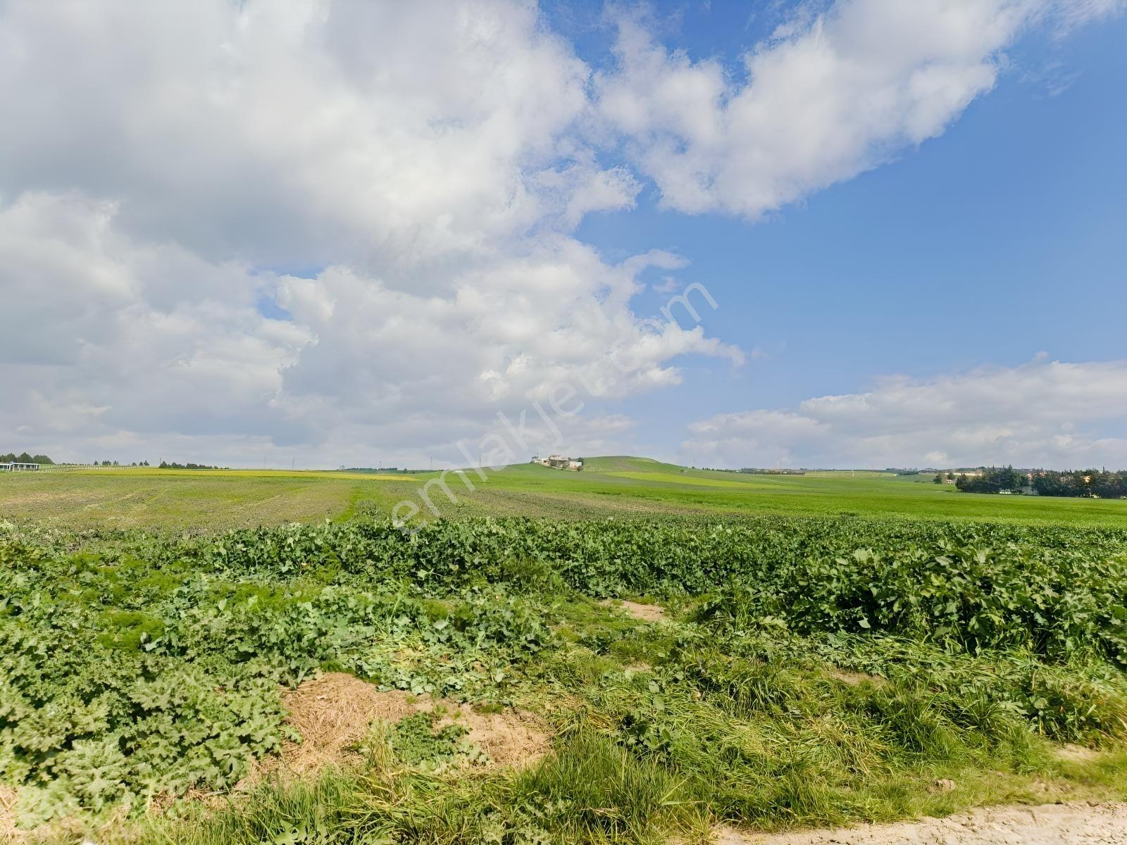 Yeniçiftlik Yakını Çeşmeli Mah. 278 M2 Hisseli Tarla — fotoğraf 3