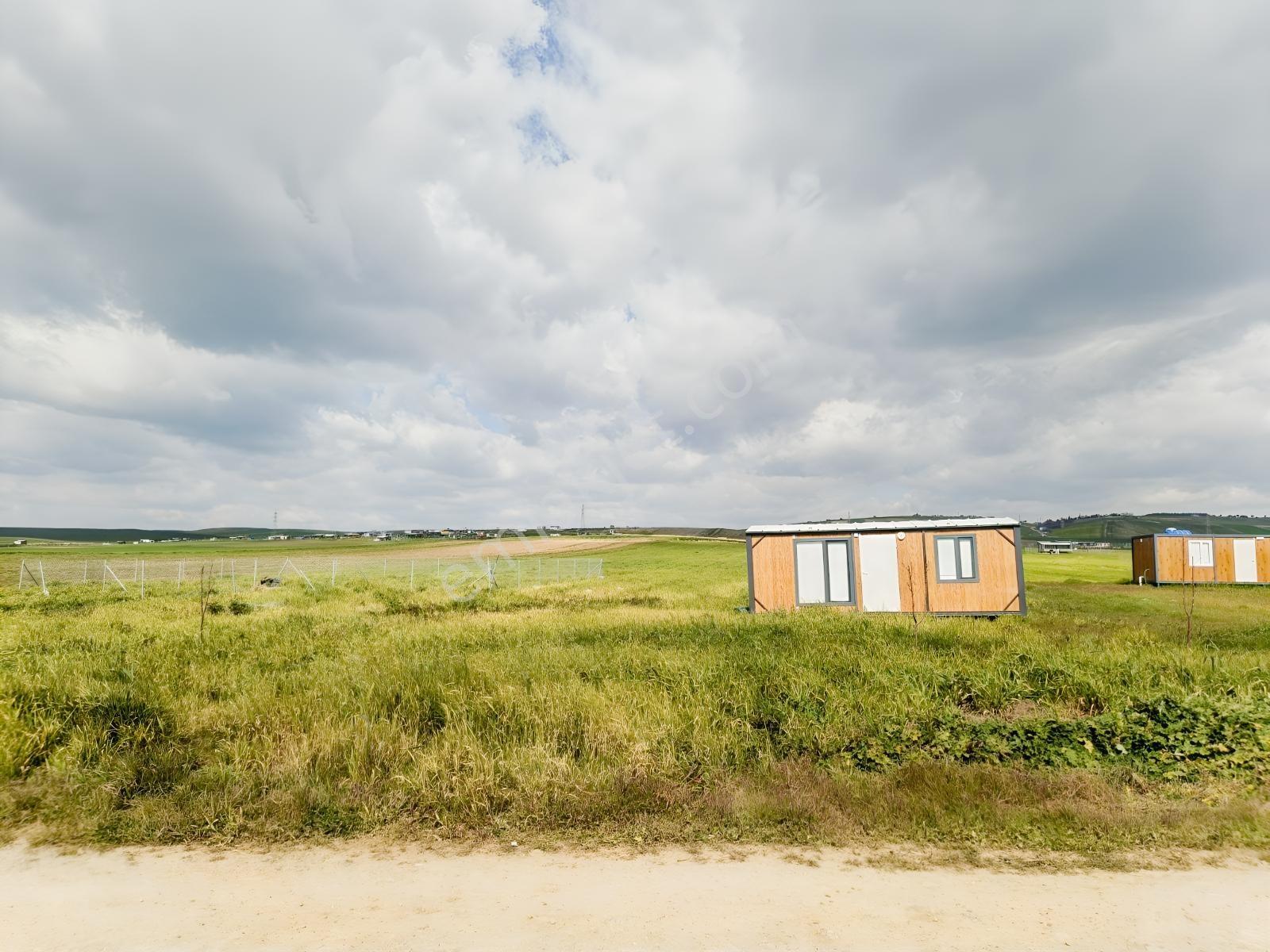Yeniçiftlik Yakını Çeşmeli Mah. 278 M2 Hisseli Tarla — fotoğraf 8