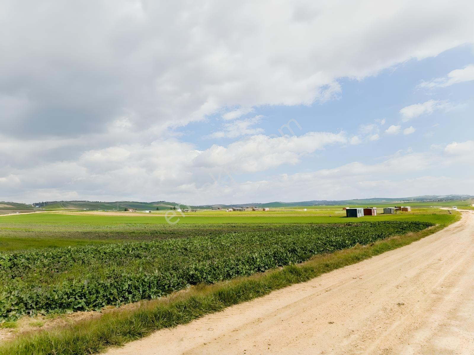 Yeniçiftlik Yakını Çeşmeli Mah. 278 M2 Hisseli Tarla — fotoğraf 11
