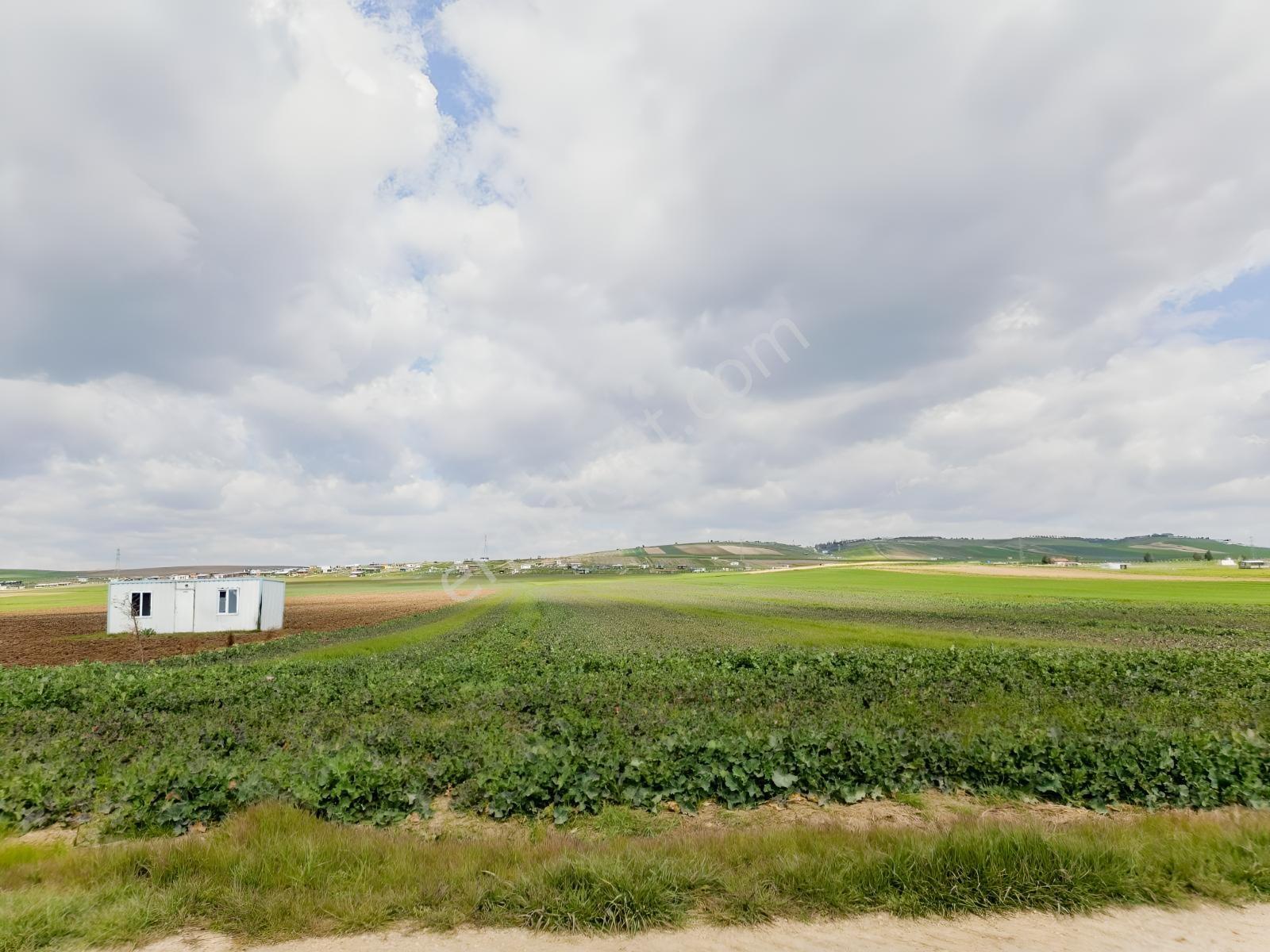 Yeniçiftlik Yakını Çeşmeli Mah. 278 M2 Hisseli Tarla — fotoğraf 12