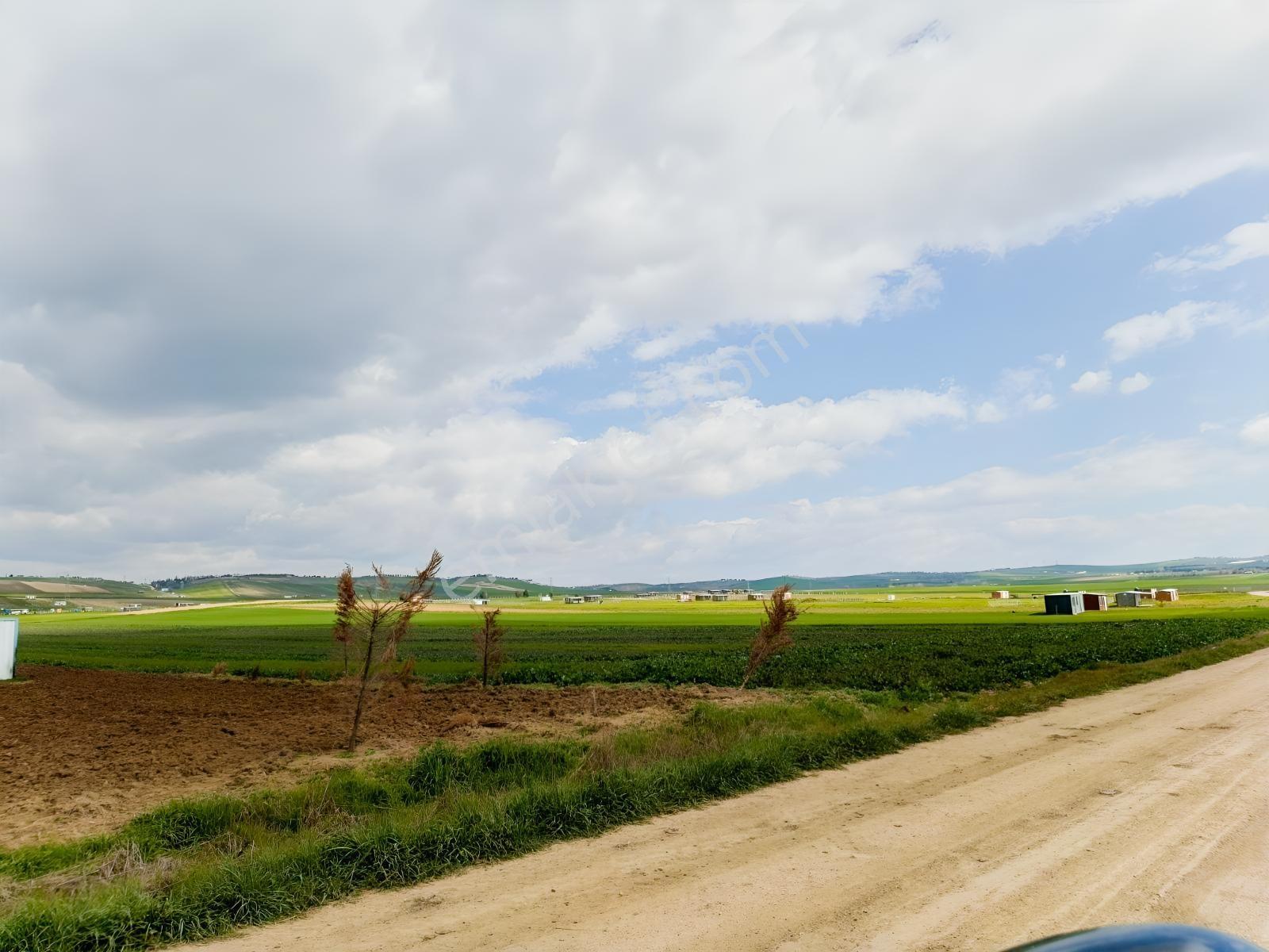 Yeniçiftlik Yakını Çeşmeli Mah. 278 M2 Hisseli Tarla — fotoğraf 13