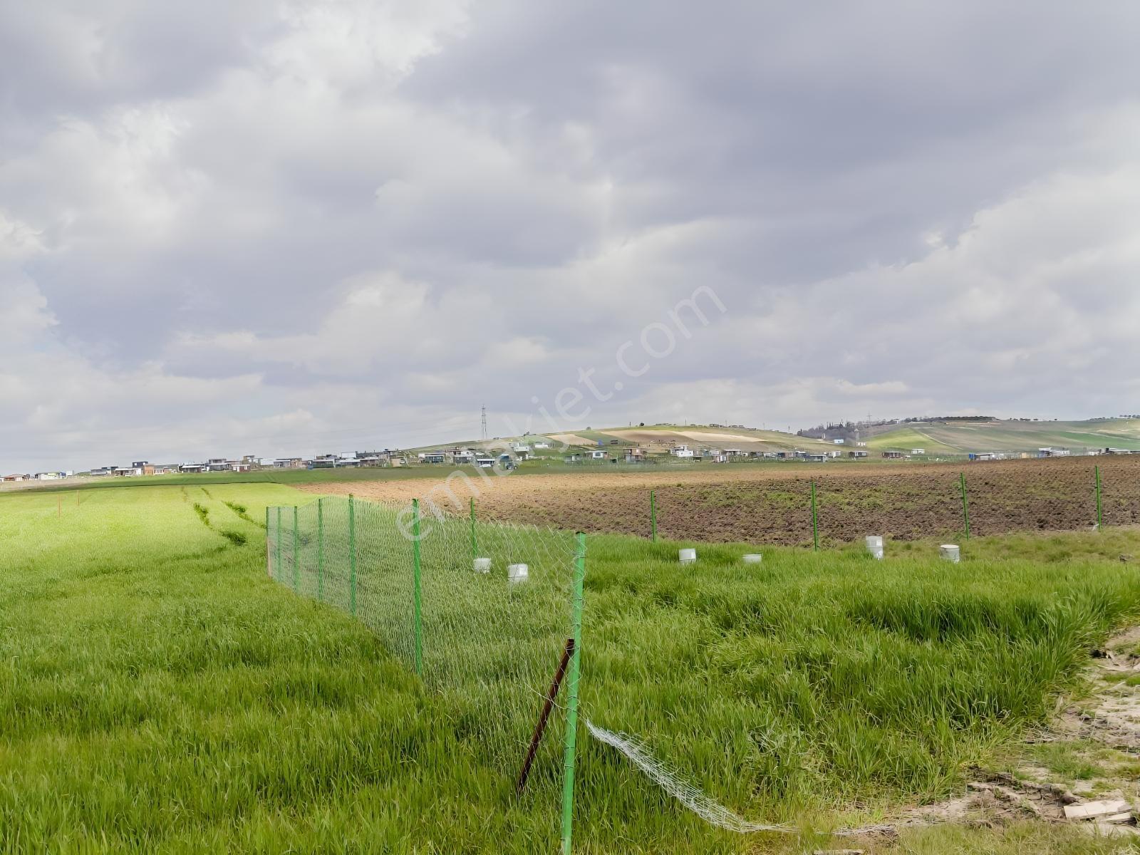 Yeniçiftlik Yakını Çeşmeli Mah. 278 M2 Hisseli Tarla — fotoğraf 15