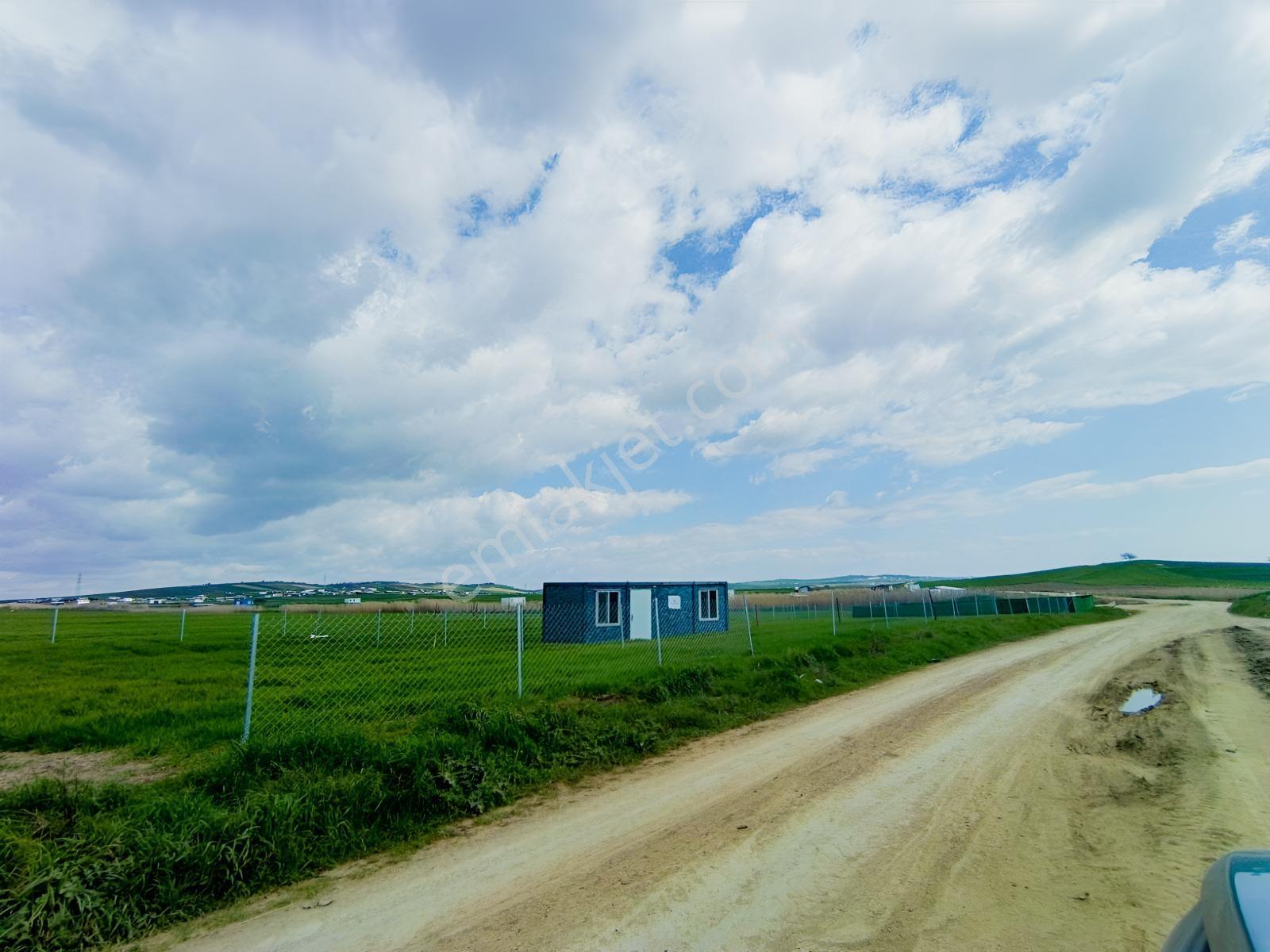 Yeniçiftlik Yakını Çeşmeli Mah. 278 M2 Hisseli Tarla — fotoğraf 17