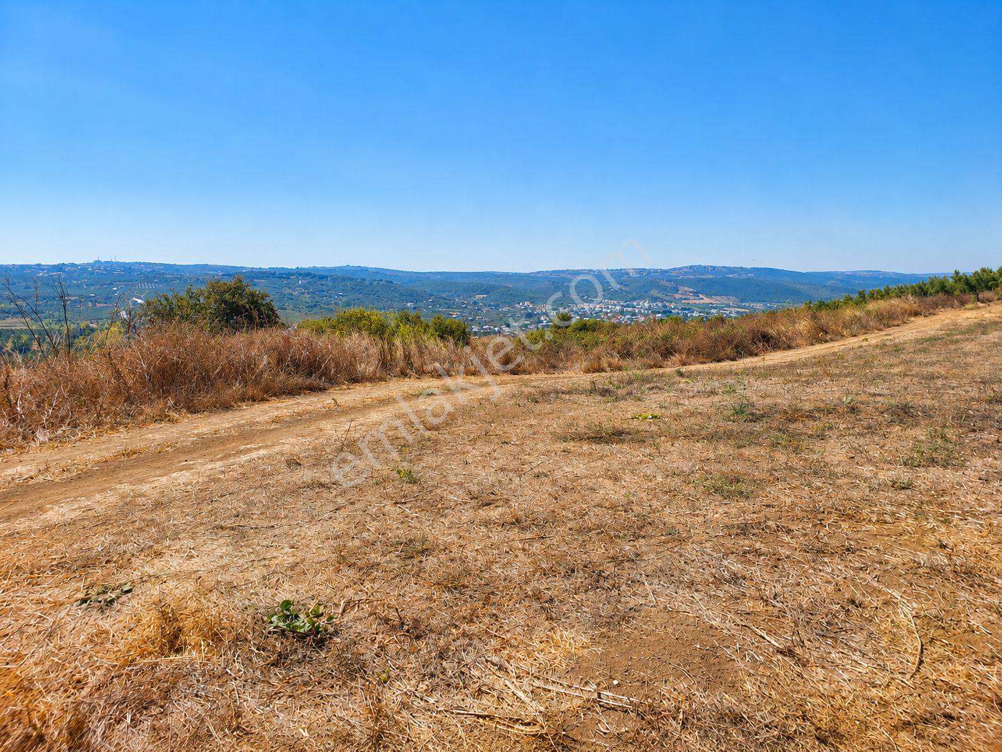 Mudanya Esence'de Eşkel Göktepe Meviiinde 307 M² Deniz-doğa Manzaralı Satılık Tarla-bahçe — fotoğraf 14