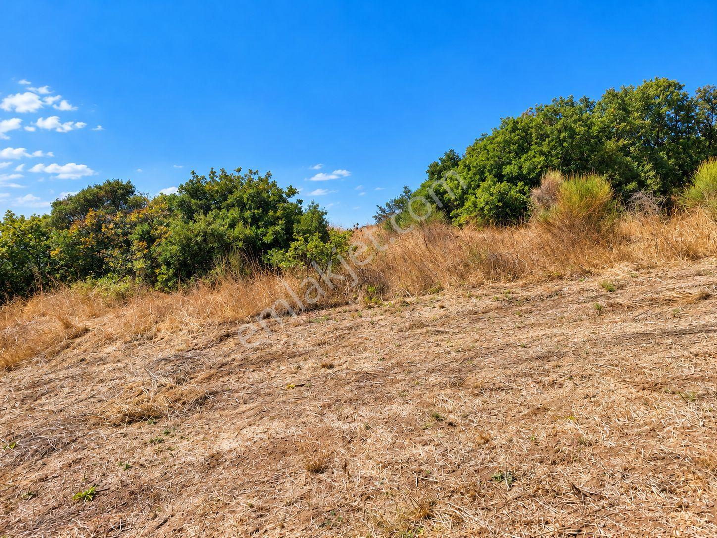Mudanya Esence'de Eşkel Göktepe Meviiinde 307 M² Deniz-doğa Manzaralı Satılık Tarla-bahçe — fotoğraf 19
