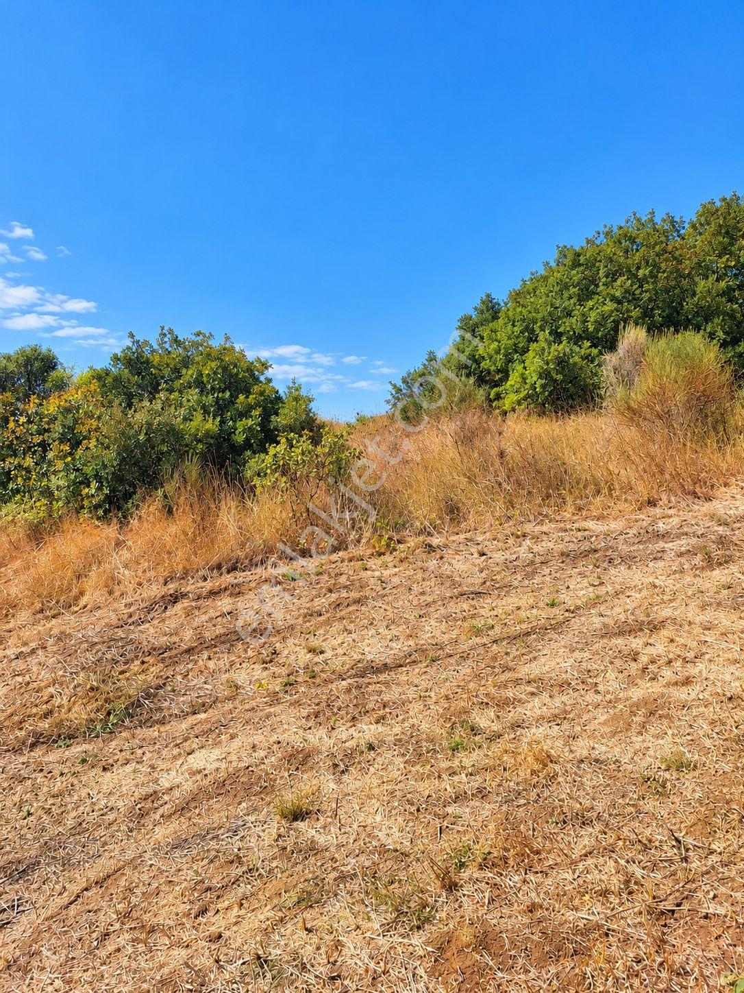 Mudanya Esence'de Eşkel Göktepe Meviiinde 307 M² Deniz-doğa Manzaralı Satılık Tarla-bahçe — fotoğraf 24